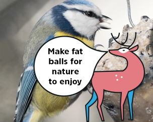 Make fat balls