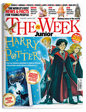 Harry Potter cover