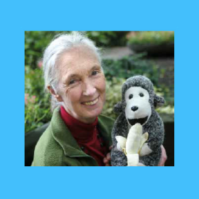 Dr Jane Goodall