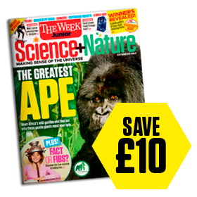 Save £10 on Science + Nature